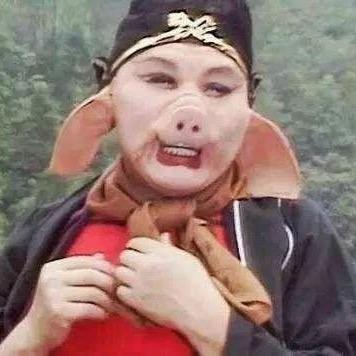 一只小猪八