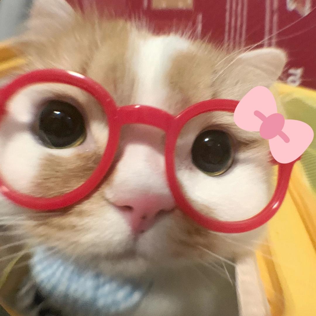 面面知道