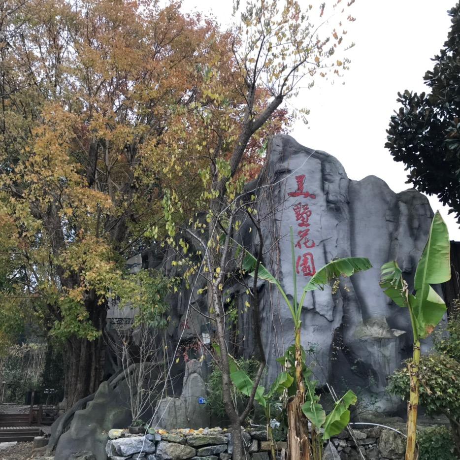 美墅花园树屋部落