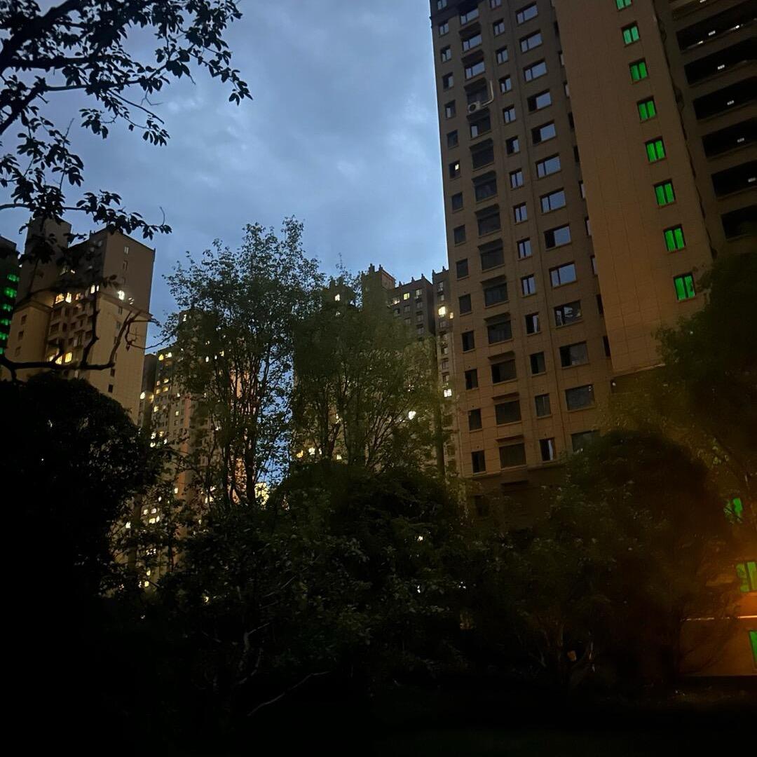 zhang12101918