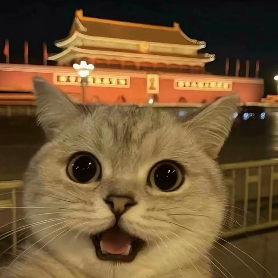 阿秋！