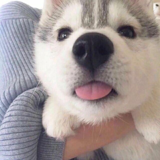 🌈小小丶 凡（🥰）