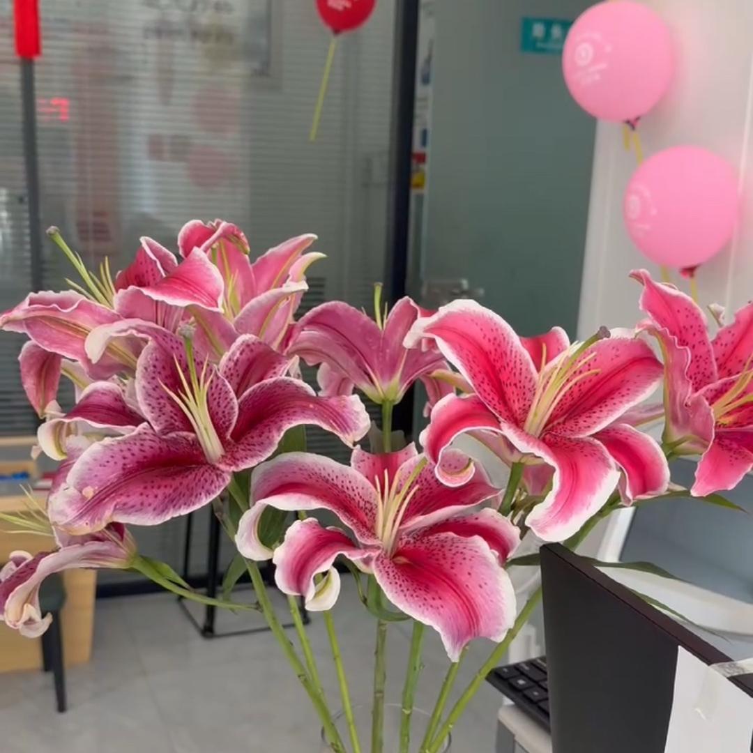 云芳