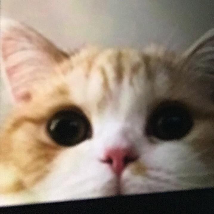 小灵甄选