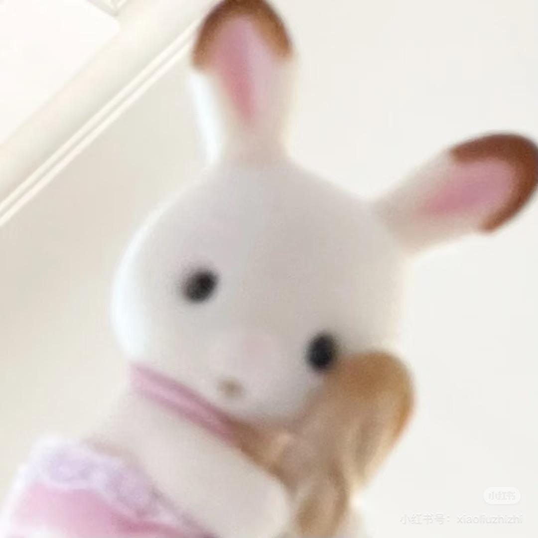 小羊-🐑