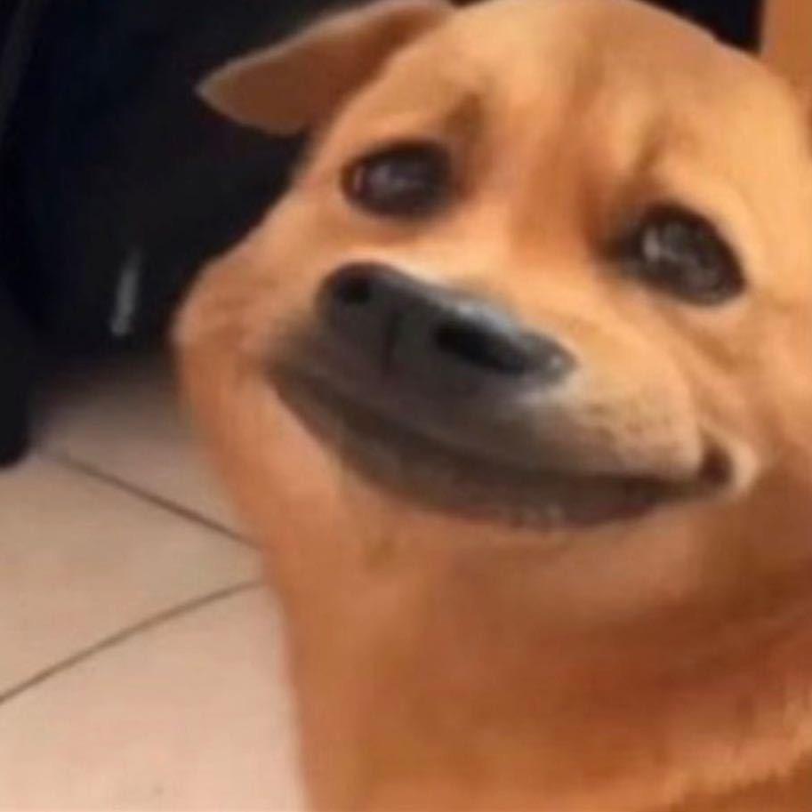 Bob