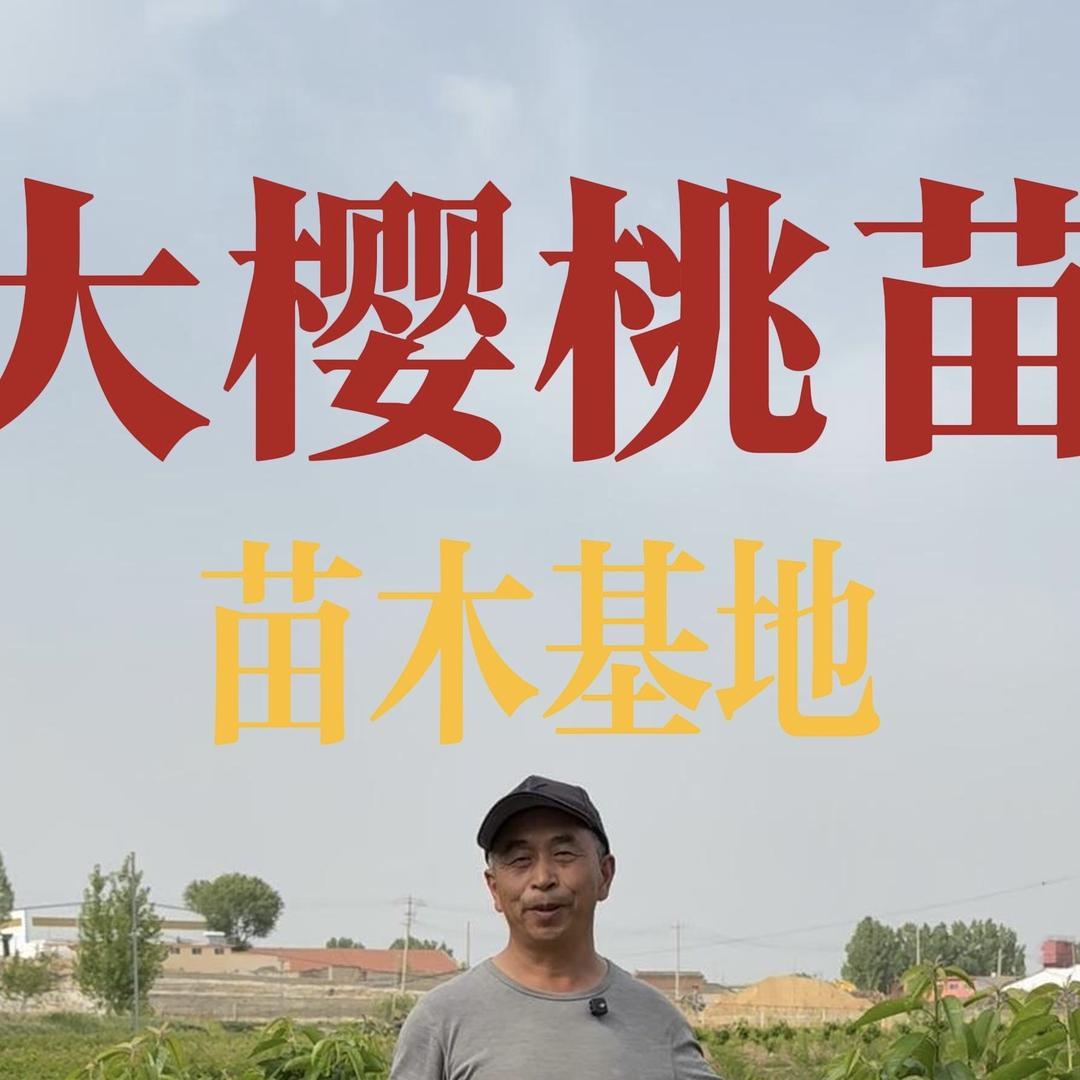 山农乐光达果树苗木专卖店授权