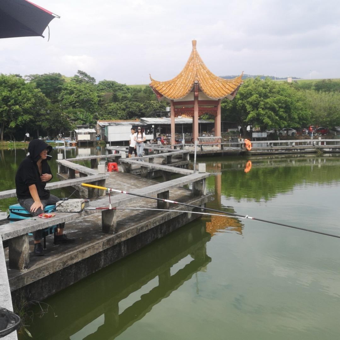 喂鱼大师🎣