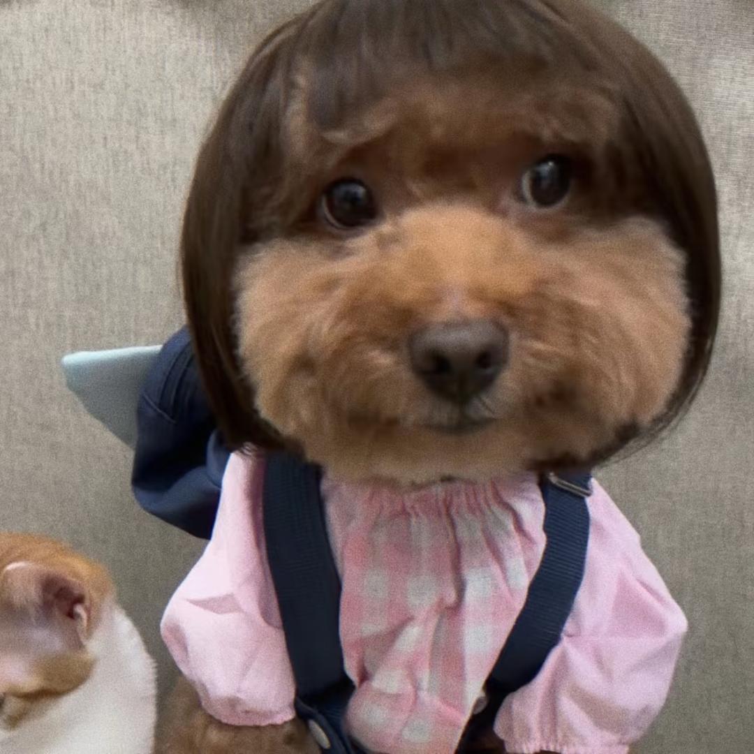 如意