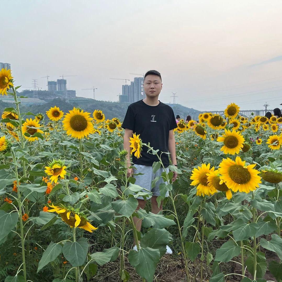 宜宾鼎贺房产小飞