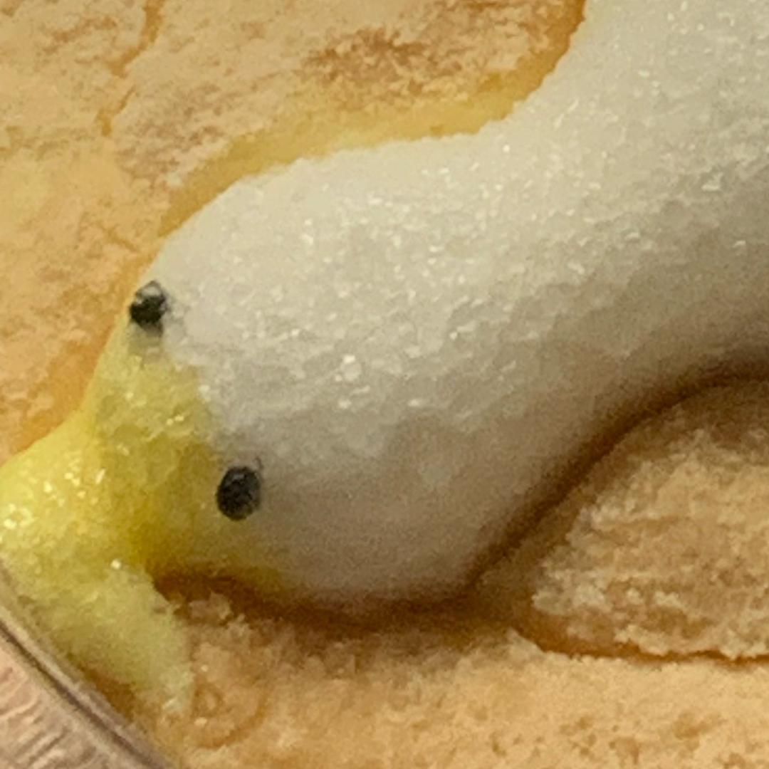 冲冲冲