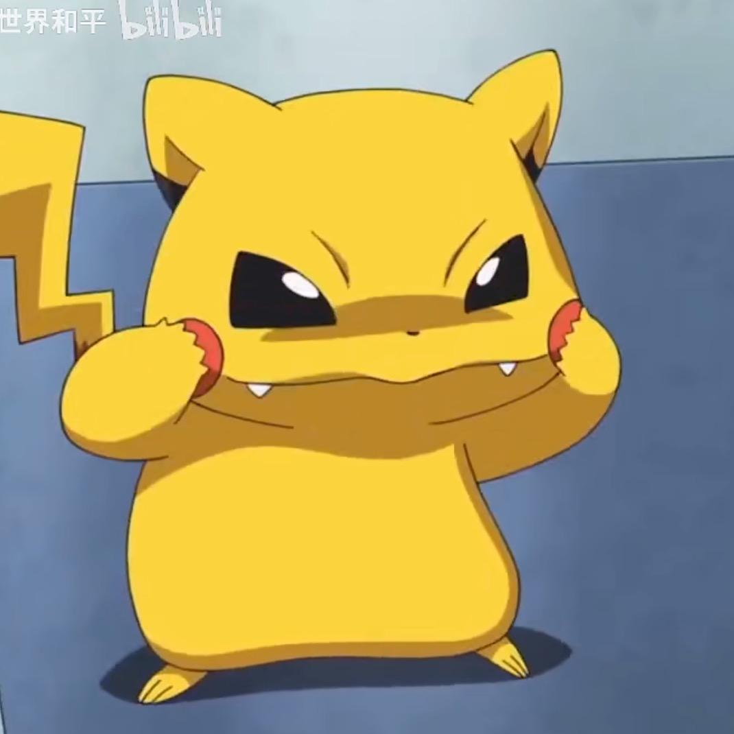 正崽