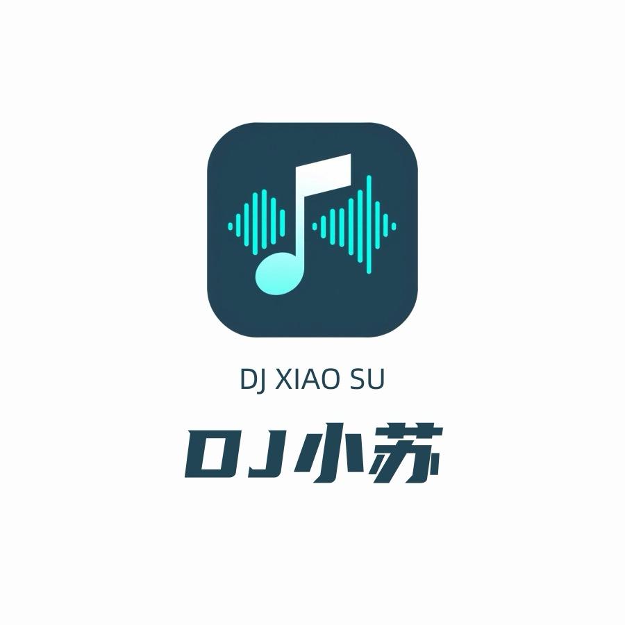 DJ小苏包厢打碟（车载U盘）