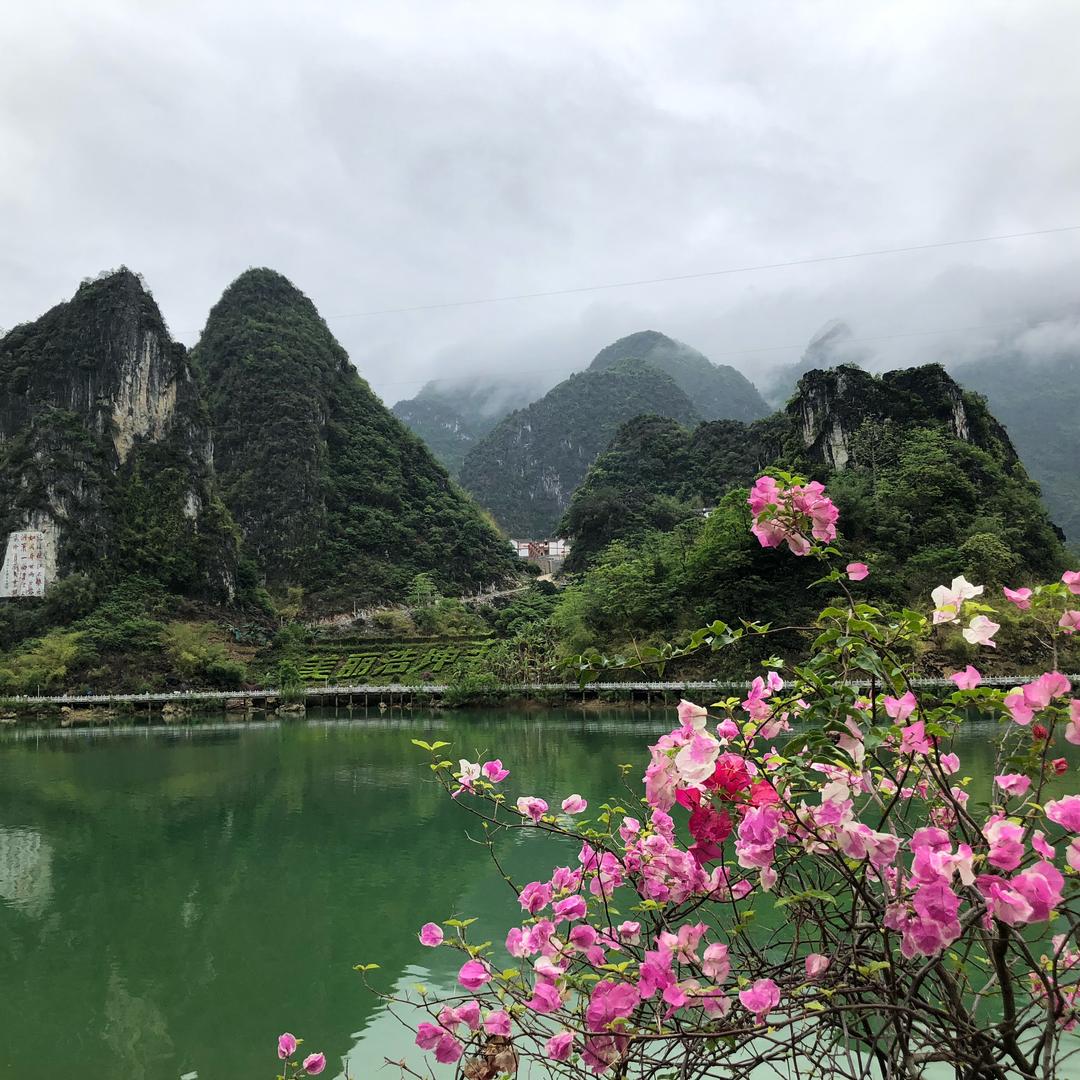 半点心