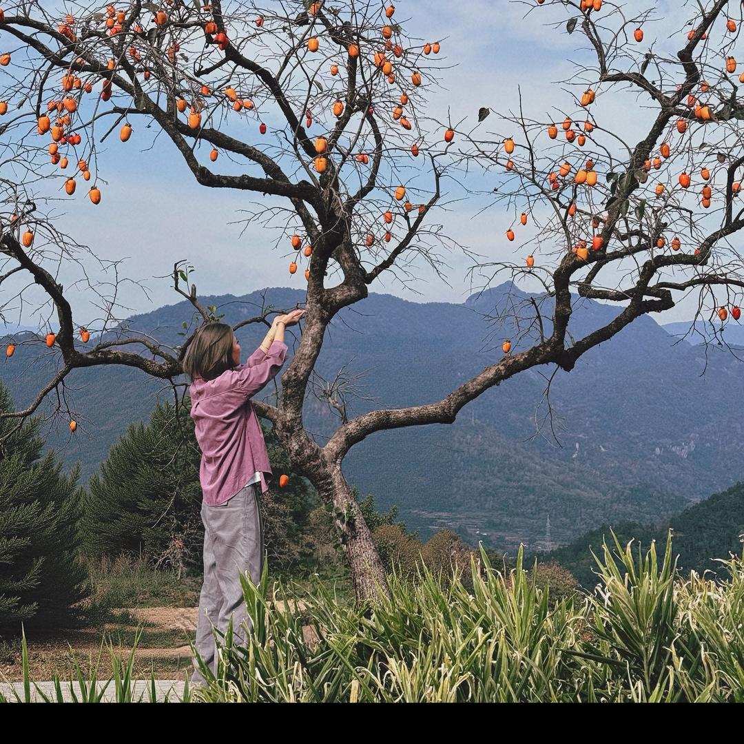 💗/“宅家小Z🍃”
