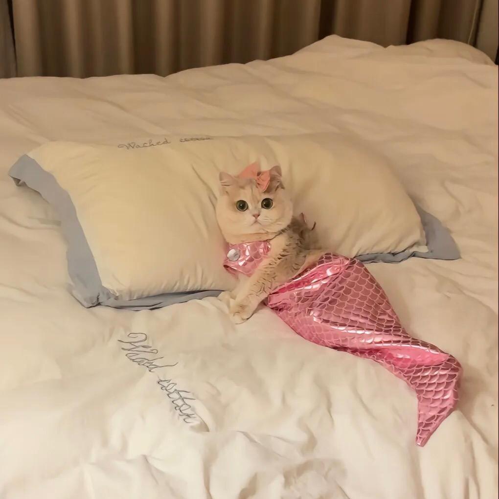 好运连连