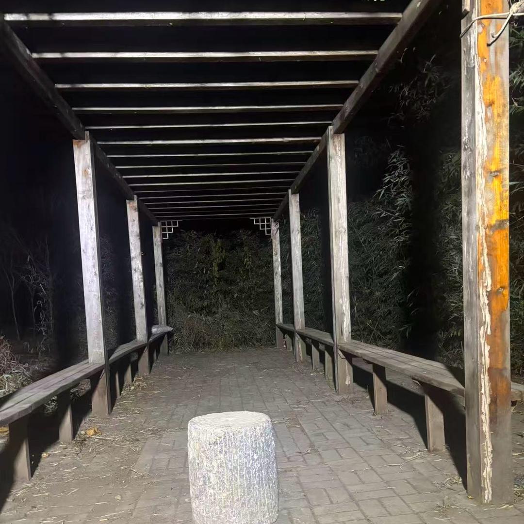 小辫哥（熊二）