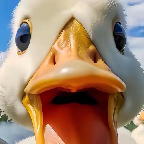 哇噻