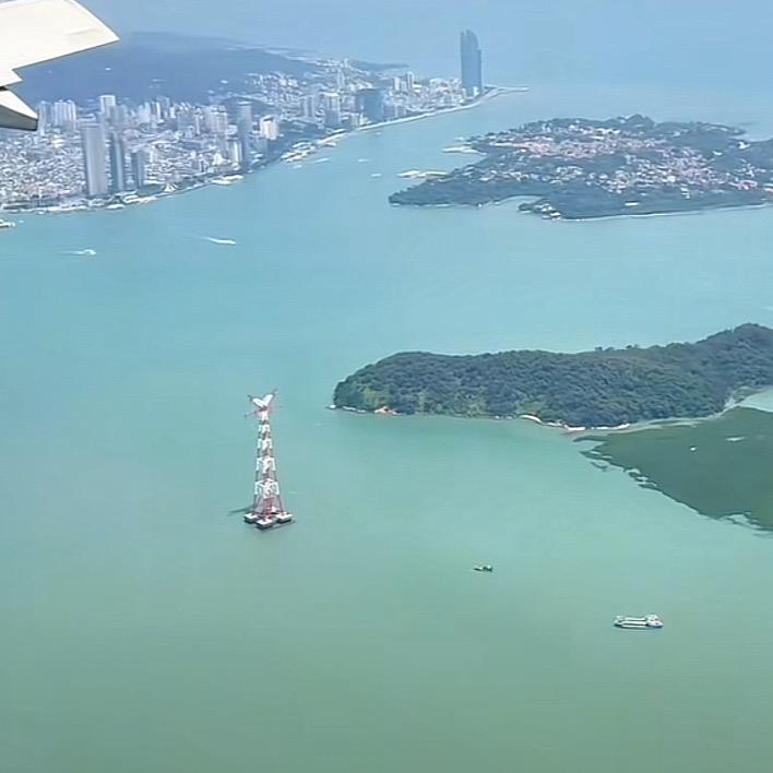 叶子的念想