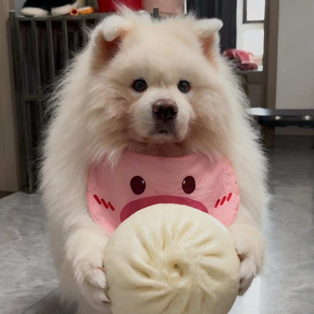 大熊~