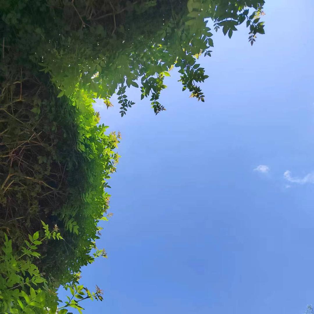 ～🍎姐姐【：）