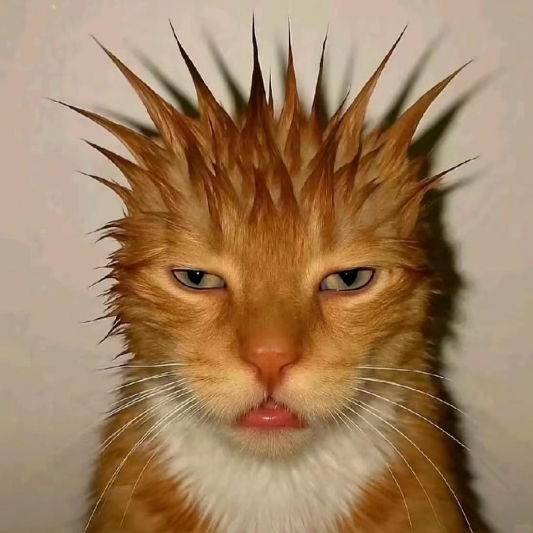 HN