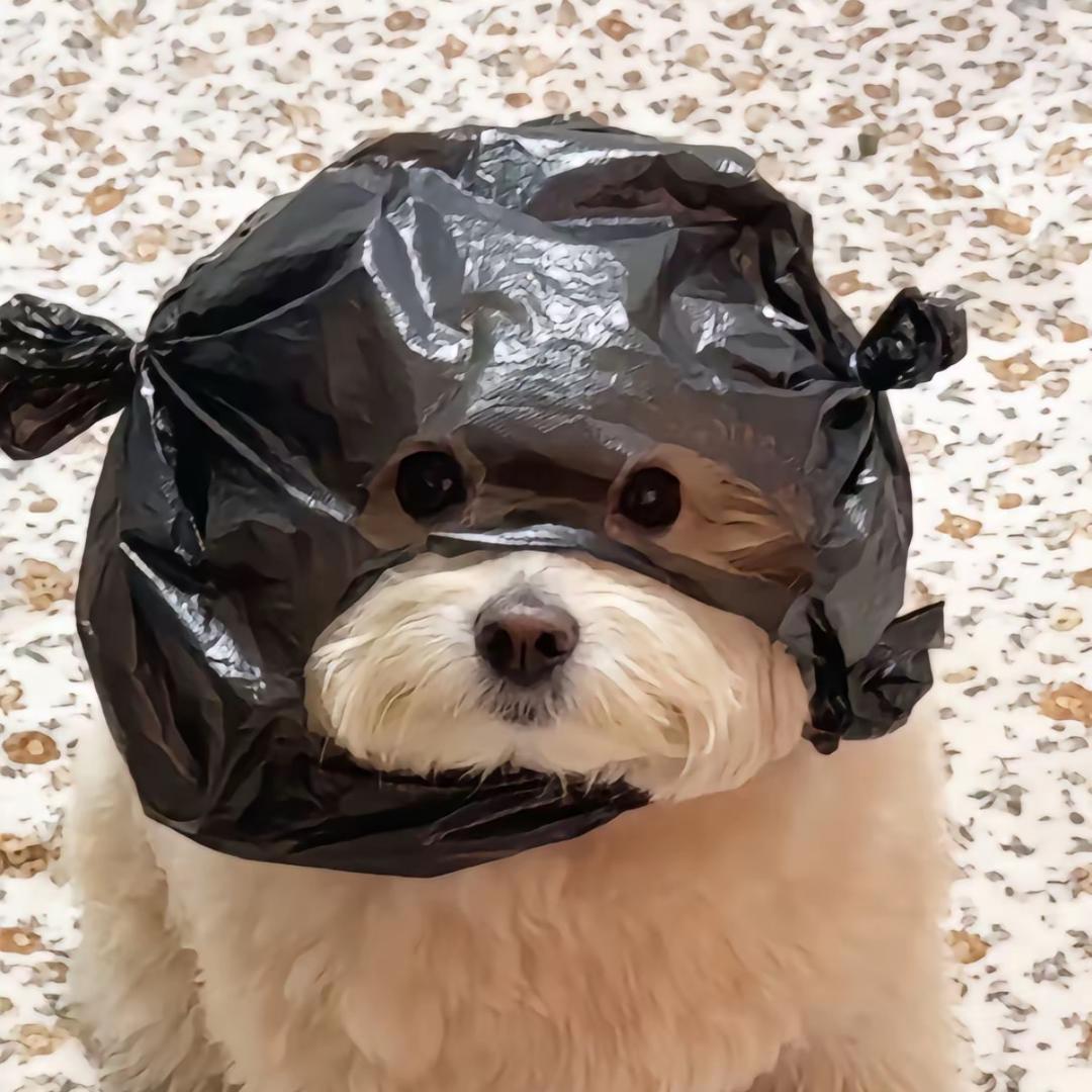 重生—星火灿烂