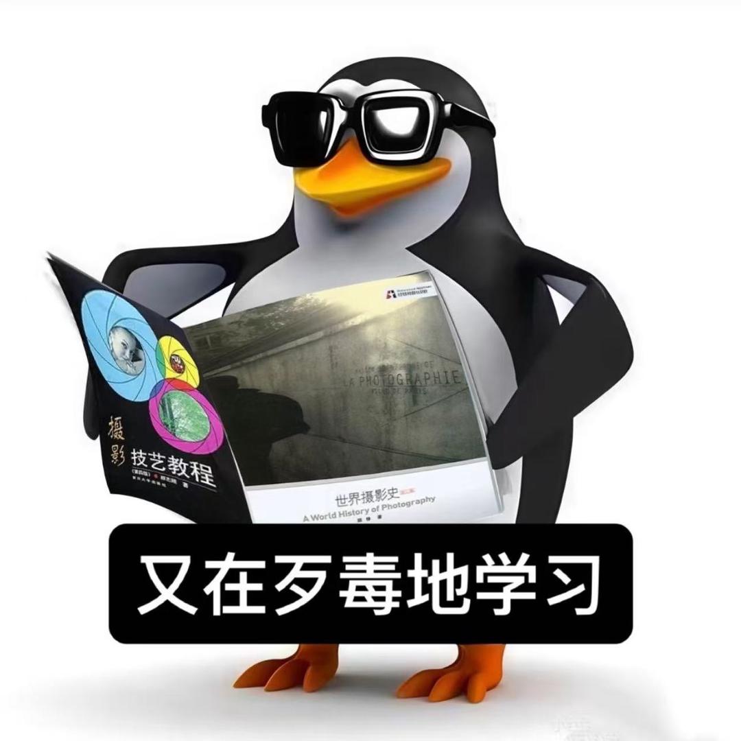 雁引愁心去