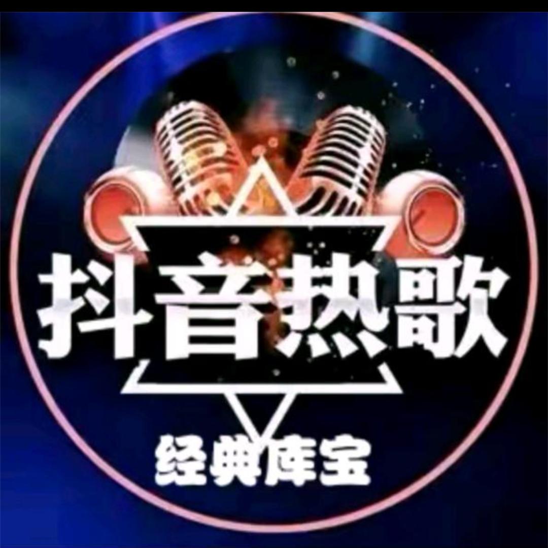 抖音热歌库（车载U盘）