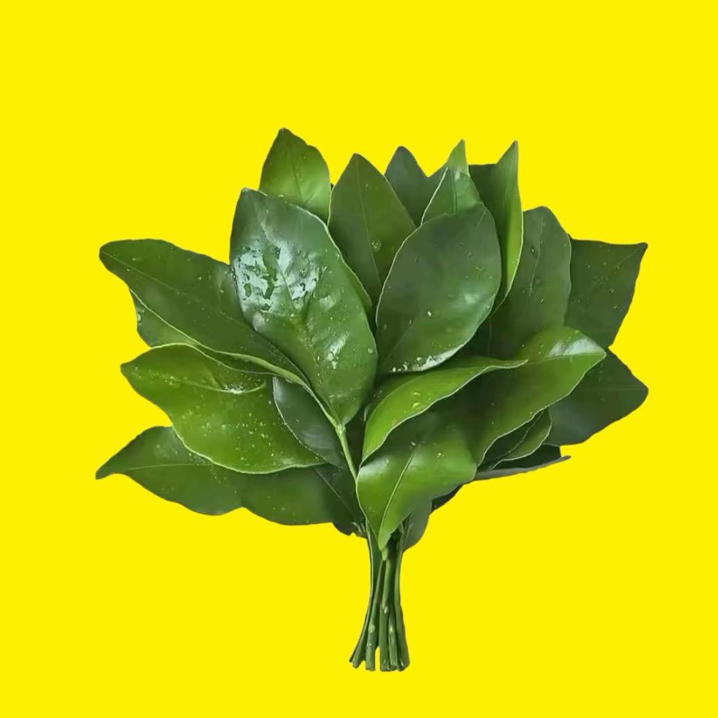 拜托
