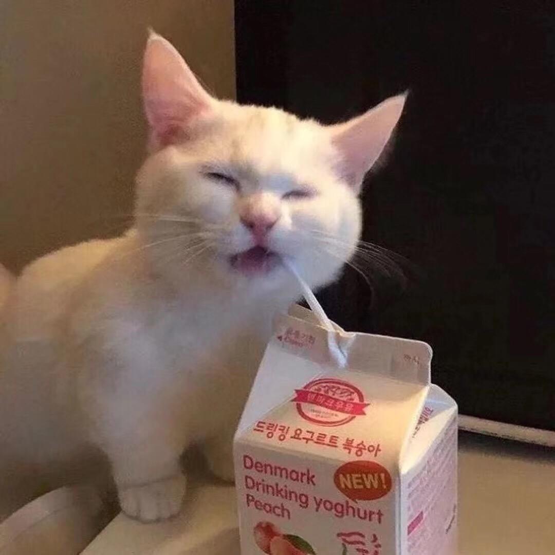 加嘉我是