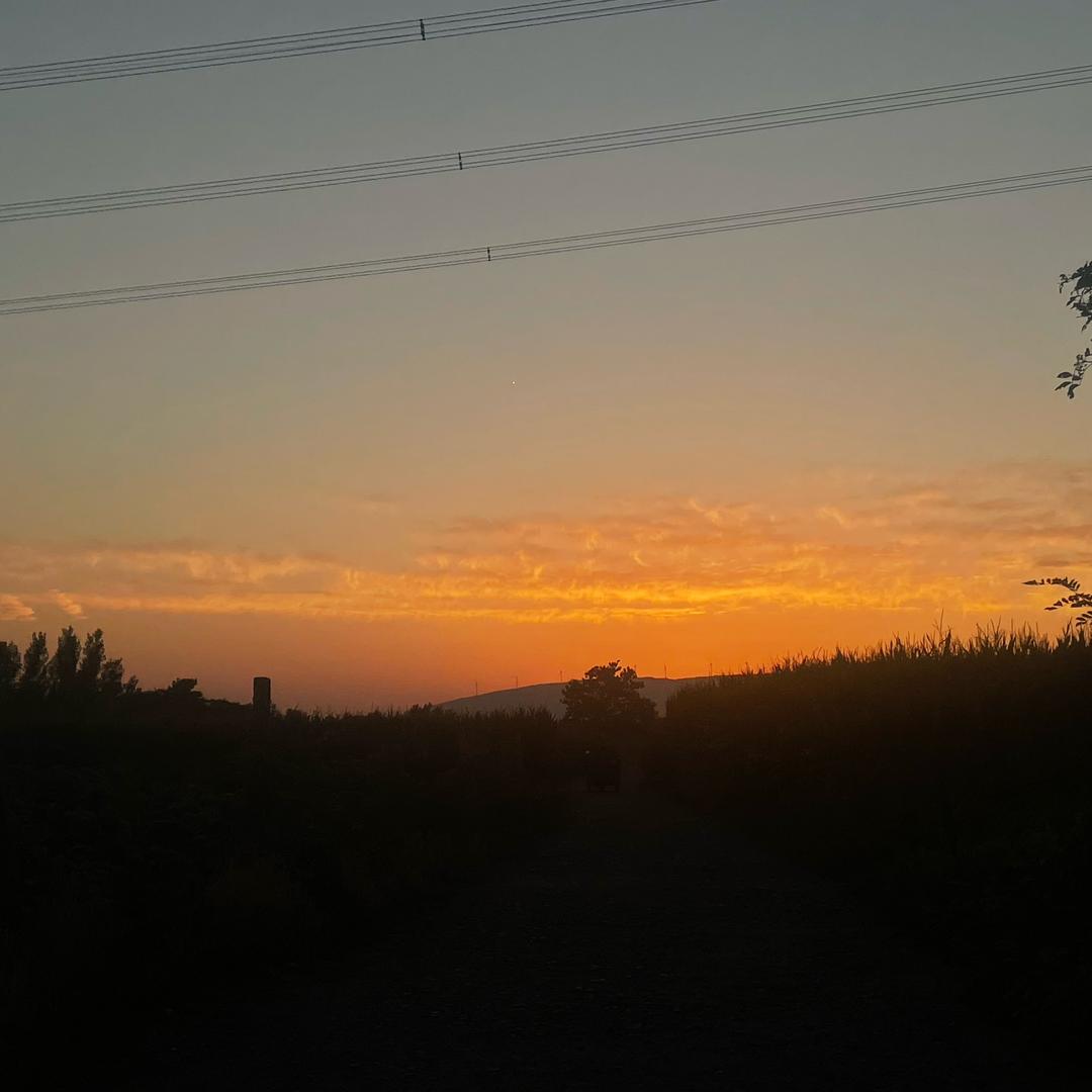 Zvemiz⁹
