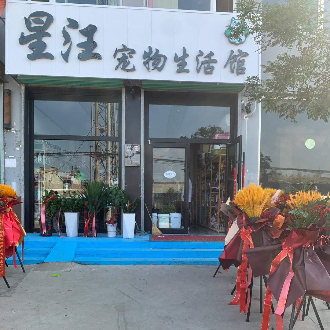 星汪宠物生活馆