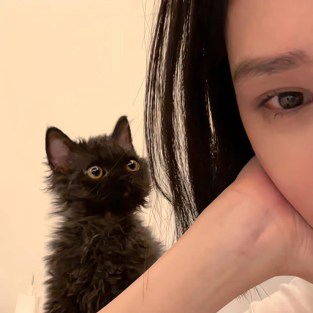 柿柿如意特麻头🍅