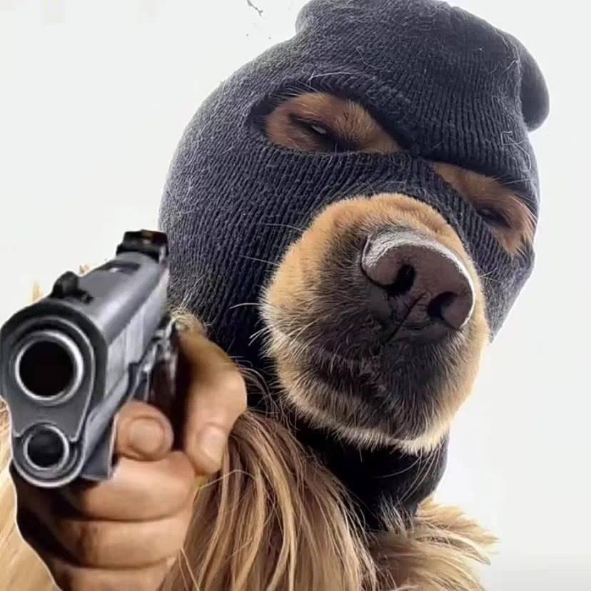 没有大耳朵的图图