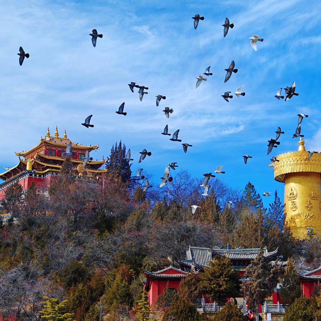 香格里拉市独克宗古城景区