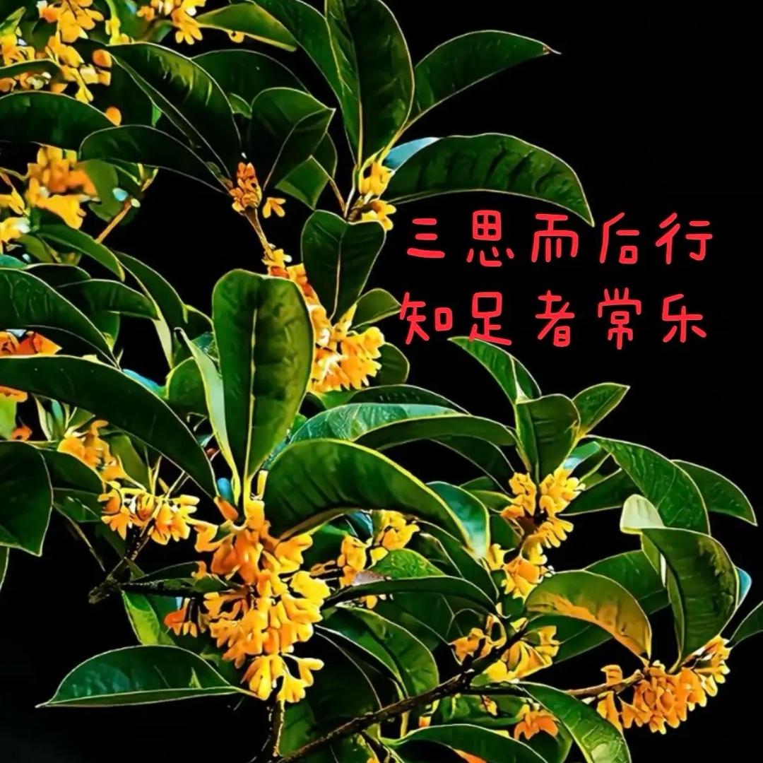 石事求是