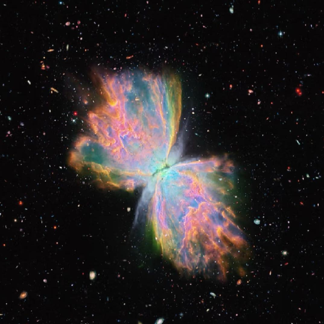 摇曳了星云