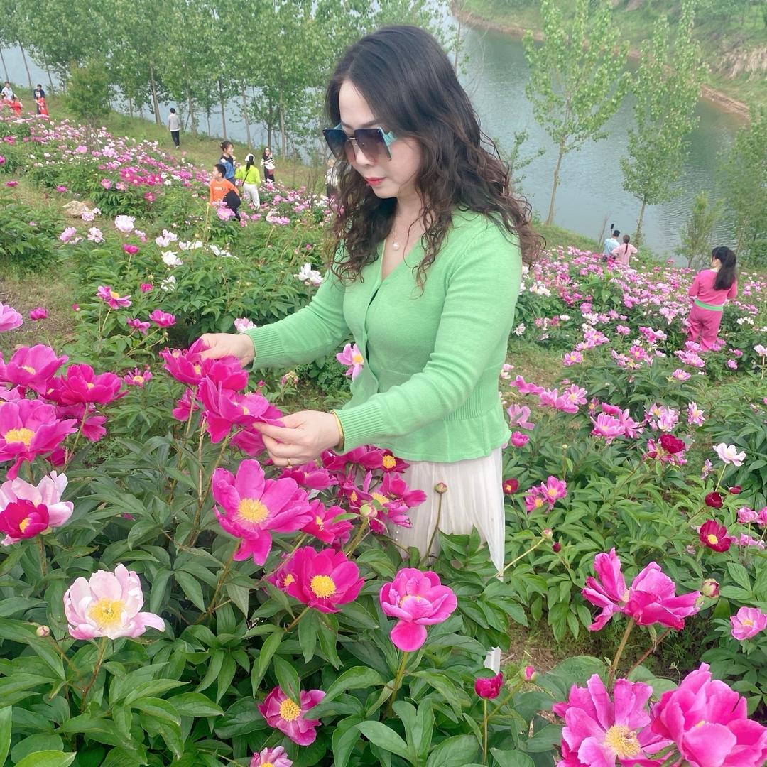 玫瑰花