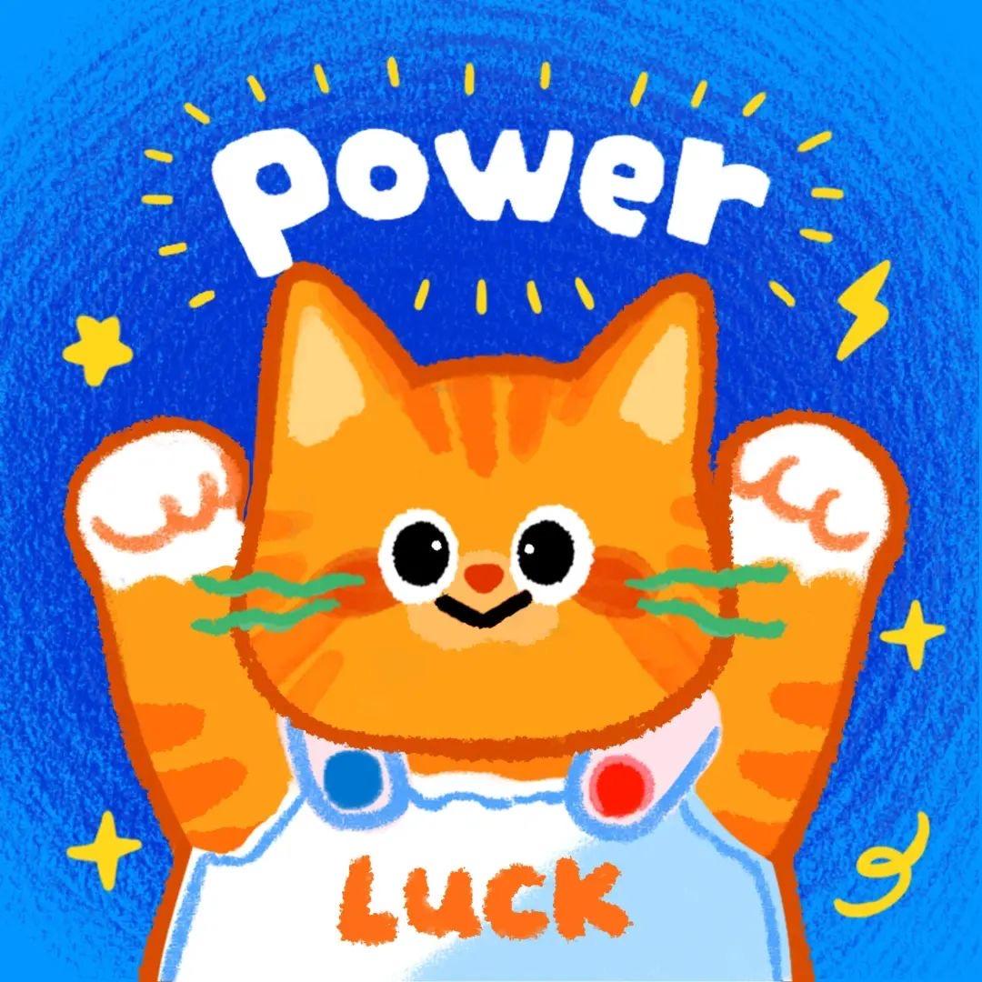 猫猫狗狗理事会♻️
