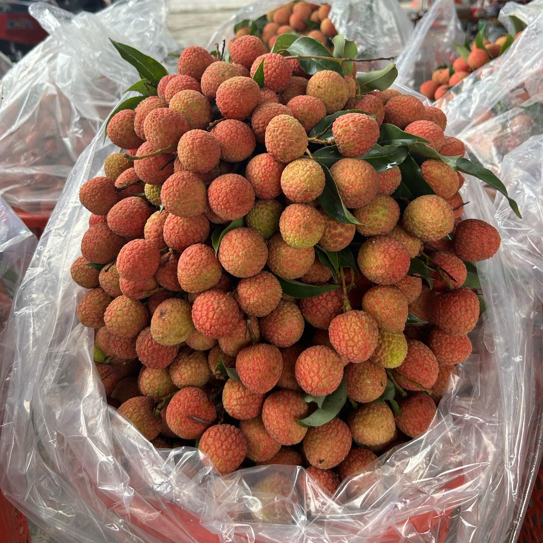 觅鲜果优品