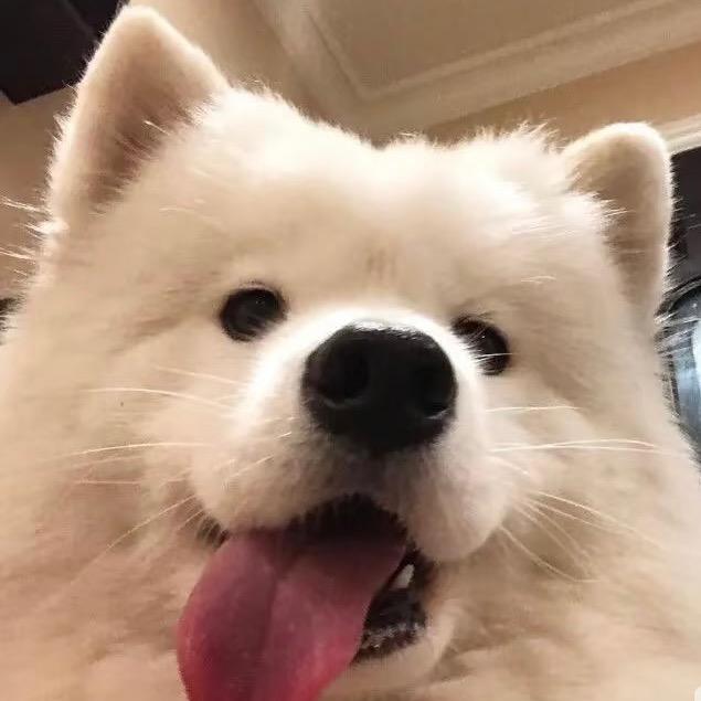 我只吃硬的圣女果