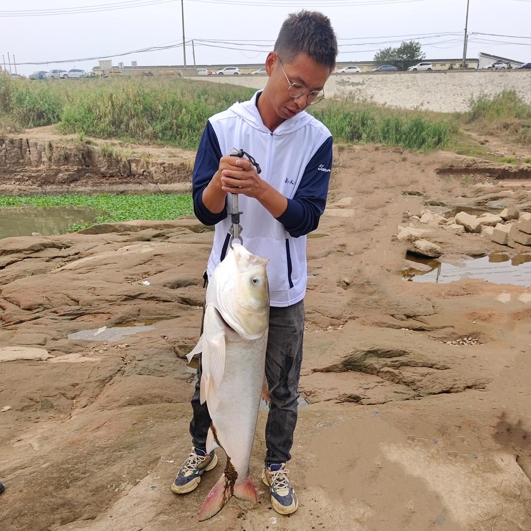毕铺猫子🎣