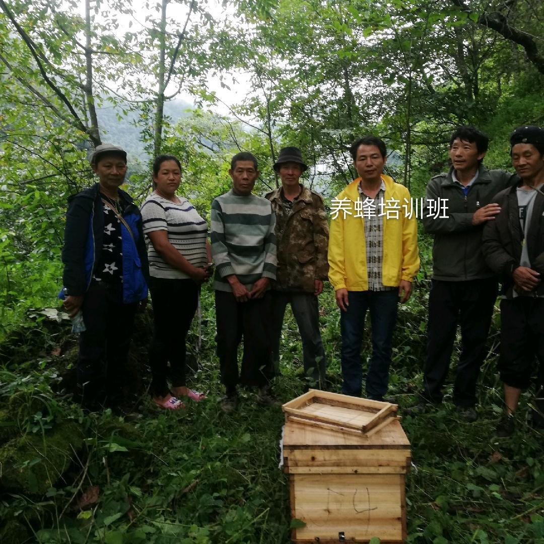 蜜蜂养殖电视频道直播视频 蜜蜂养殖电视频道直播视频下载