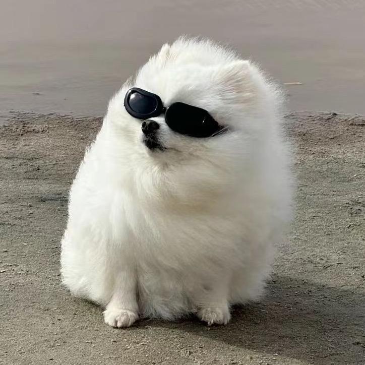 四大天王排老五