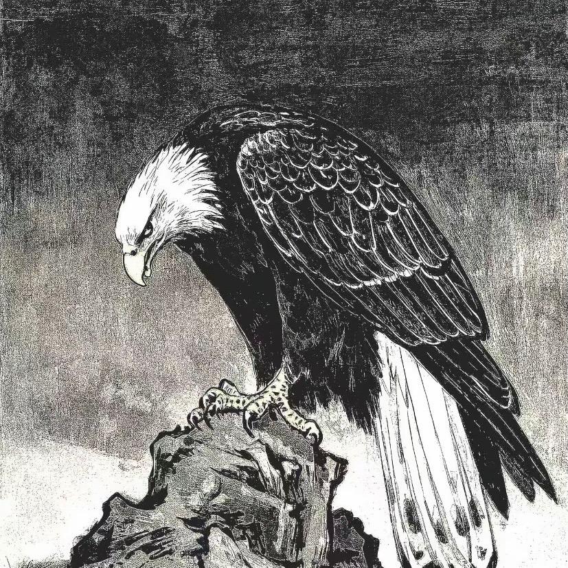 唯怜草木青