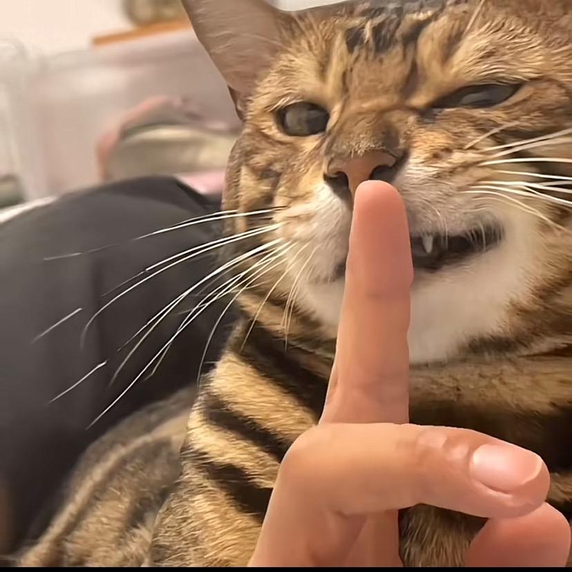 🤫🤫🤫