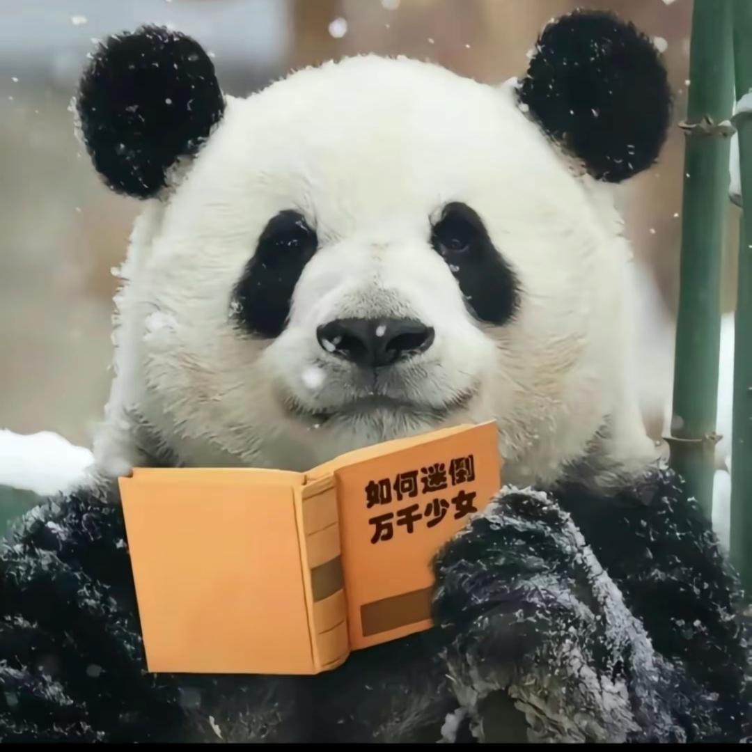熊猫萌兰