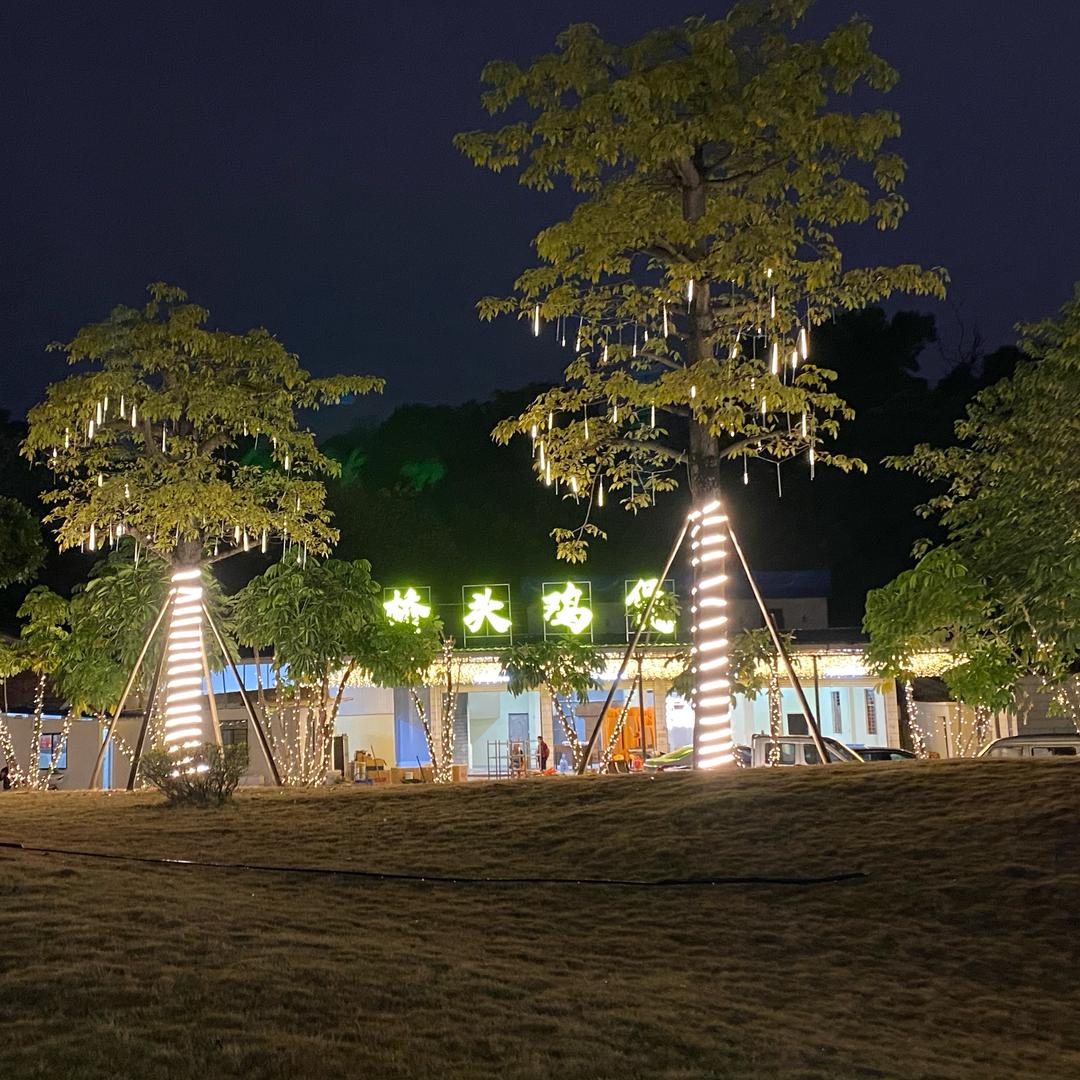 肇庆桥头鸡煲美食店