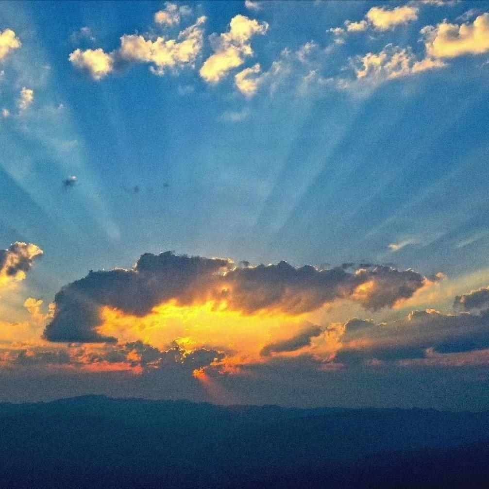 杨晓东(寅午戌)